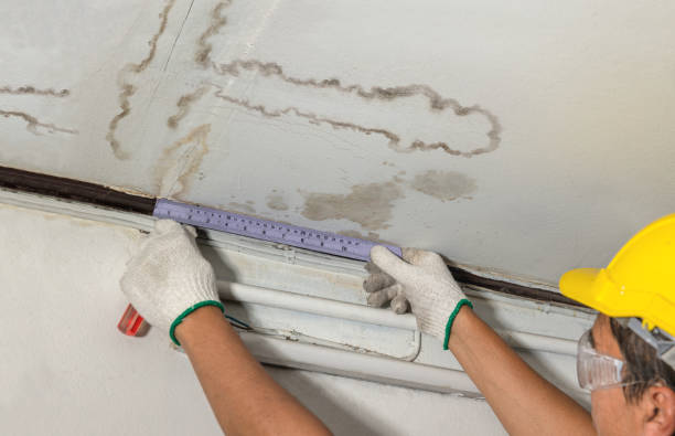 Reliable Structural Drying contractor in Totowa, NJ by Water Damage Irwin